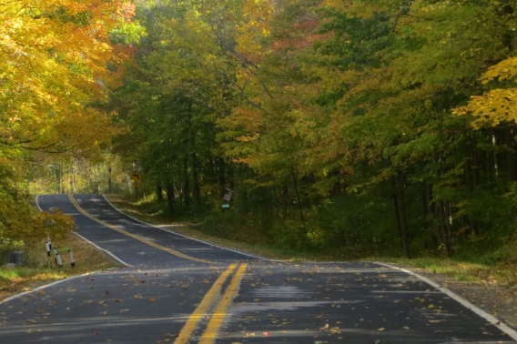 A paved road winding through a forest in the fall.