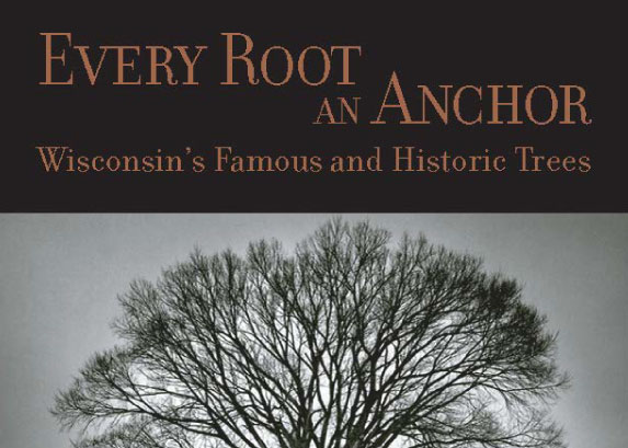 Every Root an Anchor