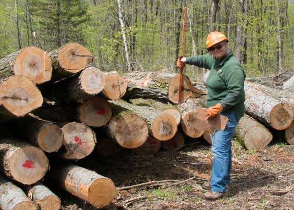 Cooperating Forester Program