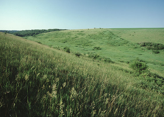 Southwest Wisconsin Grassland & Stream Conservation Area