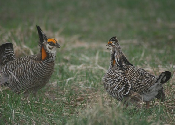 Wisconsin Natural Resources Magazine