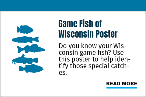 Game Fish of Wisconsin