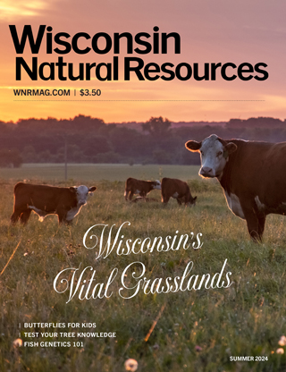 Cover of the Summer 2024 issue of the Wisconsin Natural Resources magazine.