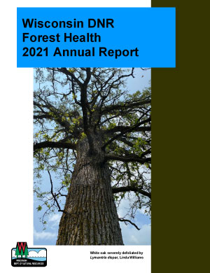 The report cover for the Wisconsin DNR Forest Health 2021 Annual Report, featuring a tree seen from below.
