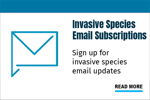 Invasive Species Email Subscriptions - sign up for Invasive species email updates.
