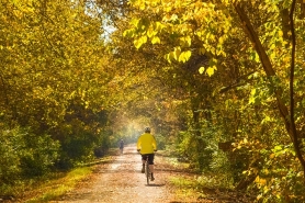 Biker on a Rail Trail in Fall