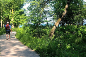 Trail in Woods along Lakeshore