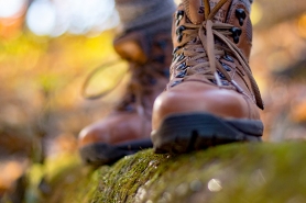 Hiking Boots on Log