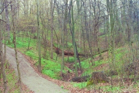 Trail at Lost Dauphin
