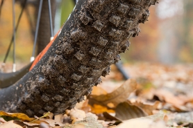 Bike Tire Close-up