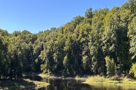Chippewa Moraine park -trees surrounding one of the smaller kettle lakes on the property.