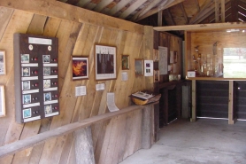image of walls with plant displays and tools displayed on the back wall. 