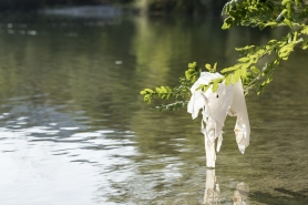 Plastic bag hanging from branch by lake