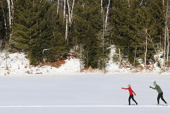 Two people in the distance of a winter forest cross-country skiing in a State forest.