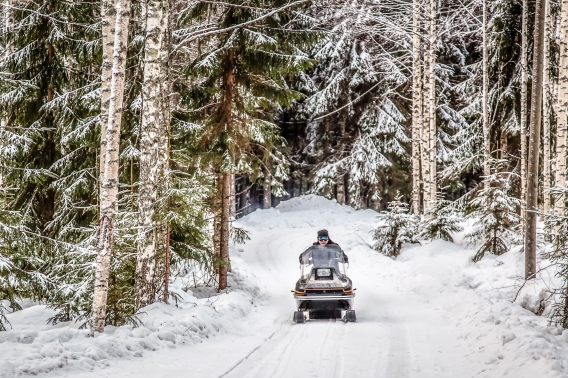 Snowmobile Winter Trail