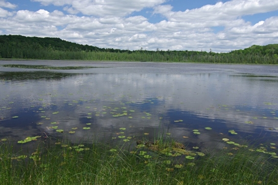 Mud Lake Bog