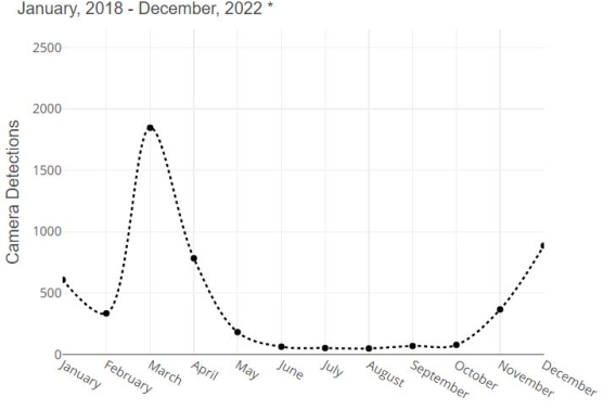A graph depicts snowshoe hare detections on Snapshot trail cameras by month. The detections are highest in the colder months and drop very low in the warmer months.