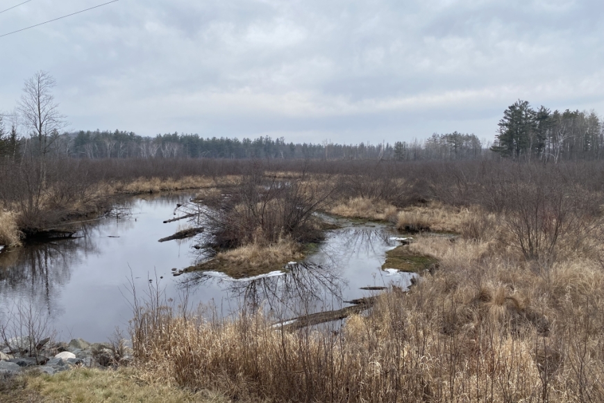 View over a pond in winter.