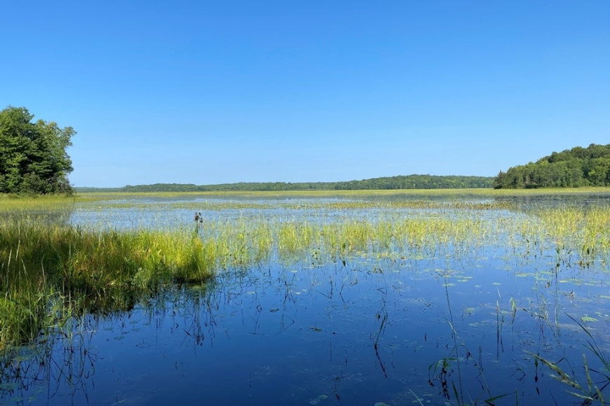 View over a lake