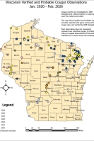 A Wisconsin map showing the cougar sightings in each county by using color dots representing each year. The map shows the sighting from from Jan. 2019 to Feb. 2026..