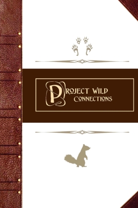 KWW Lesson Plan Wild Connections