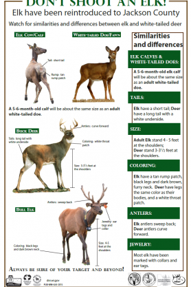 don't shoot an elk
