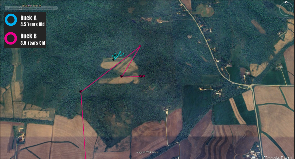 A screenshot of a Google Earth recording showing blue and pink GPS points.