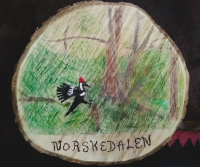 An image of a wood slice painting of a woodpecker in the forest. 