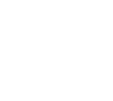 White icon image of a bee. 