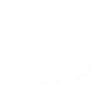 White icon image of a butterfly. 