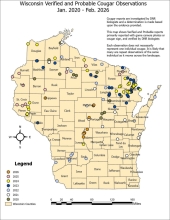 A Wisconsin map showing the cougar sightings in each county by using color dots representing each year. The map shows the sighting from from Jan. 2019 to Feb. 2026..