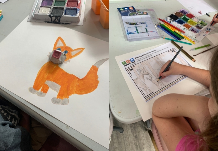 A picture of a fox drawing created by kids in a classroom and a picture with a kid drawing a deer from a Snapshot Wisconsin photo.