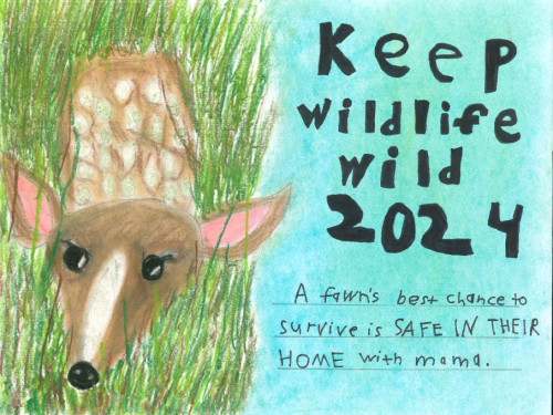Children's Drawn Poster of a Fawn