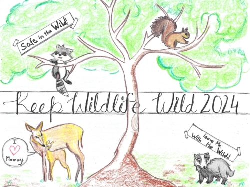 Children's Drawn Poster with a tree and several forest animals around it.