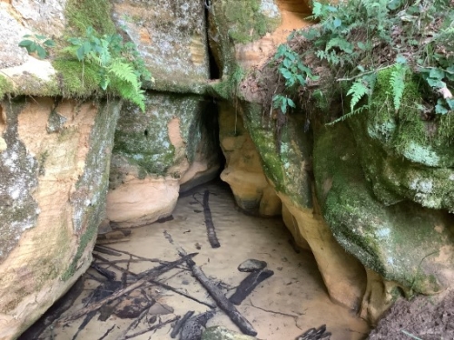 A view of a sandstone crevasse covered with moss and ferns and a spring that fills a pool of water.
