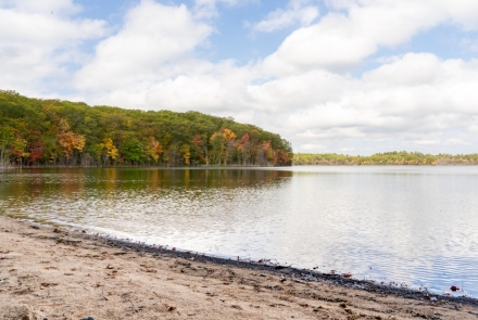 A sandy beach and trees turning fall colors in the distance.