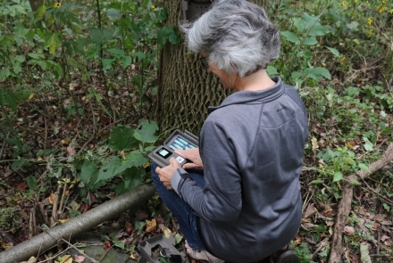 A snapshot volunteer setting up her trail camera
