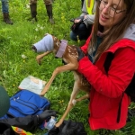 Volunteers submitted photos of them holding fawns