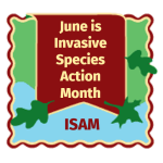 June is Invasive Species Awareness Month