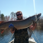 Muskellunge held up by Logan Sikora during a research survey
