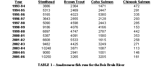 Anadromous fish runs for the Bois Brule river