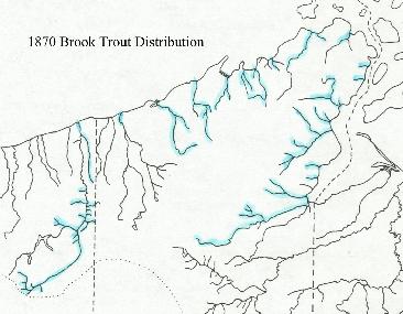 coaster brook trout streams map