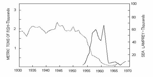 graph of trout vs lamprey