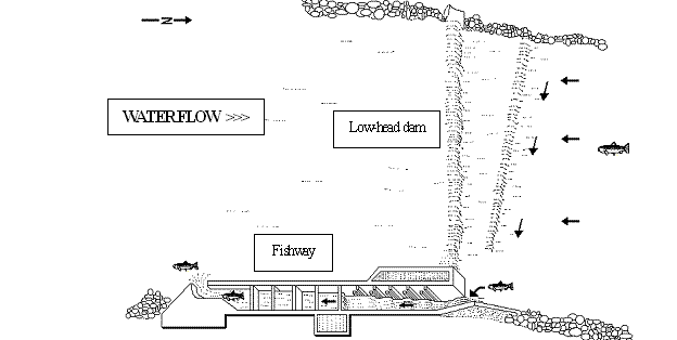 Overhead Illustration of the Brule River Lamprey barrier and fishway