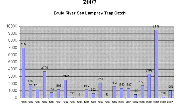 Graph showing 2007 Sea lamprey catch