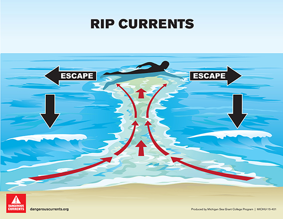 Flip, Float, Follow Graphic
