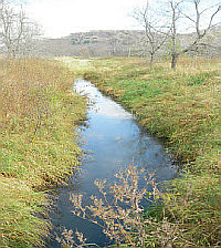 Joos Valley Creek