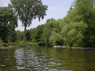 Photo of Winnebago shoreline, courtesy of Winnebago Waterways.