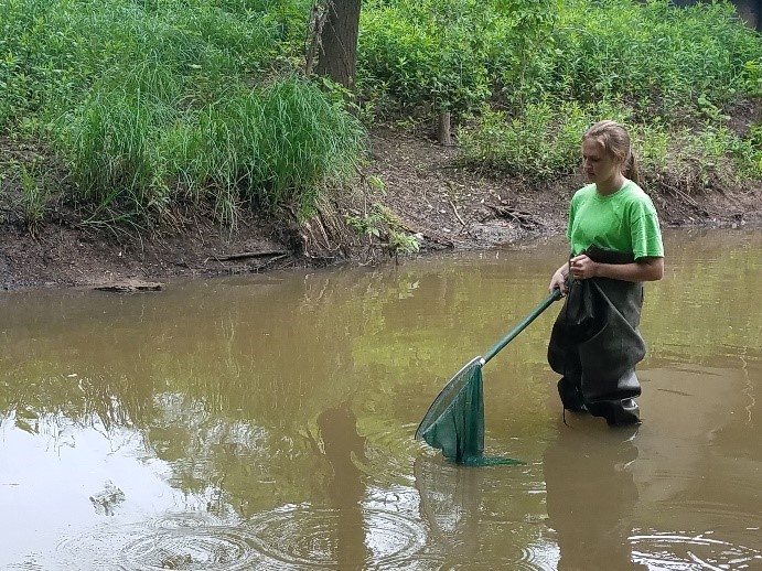 WDNR volunteer with a sampling net in Ashwaubenon Creek.