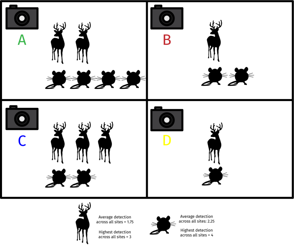 A graphic shows the hypothetical species detections for four trail cameras within a network. Camera A shows two deer detections and four mouse detections.  Camera B shows one deer detection and two mouse detections. Camera C shows three deer detections and two mouse detections. Camera D shows one deer detection and one mouse detection. Font at the bottom of the graphic says that the average detection rate across all cameras was 1.75 deer per camera and 2.25 mice per camera